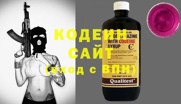 индика Ельня
