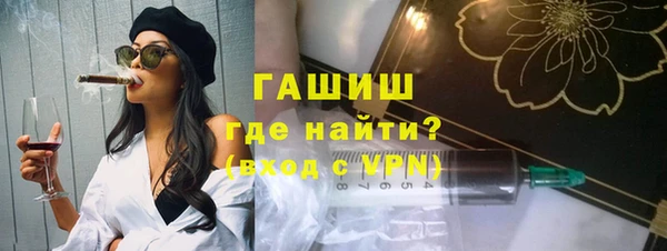 индика Ельня