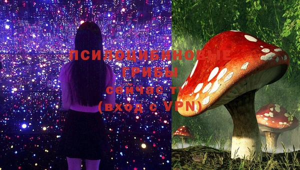 синтетический гашиш Елабуга
