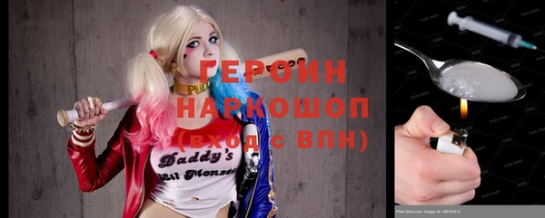 индика Ельня