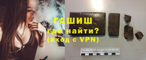 индика Ельня
