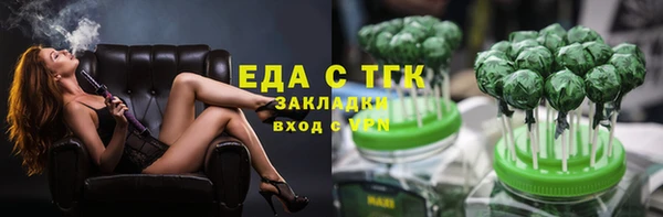 индика Ельня