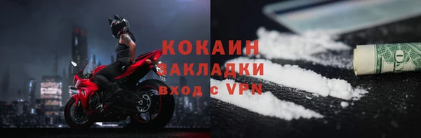 индика Ельня