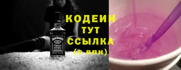 индика Ельня