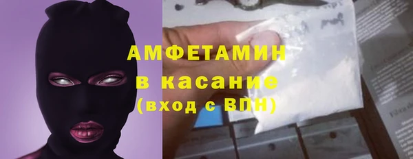 индика Ельня