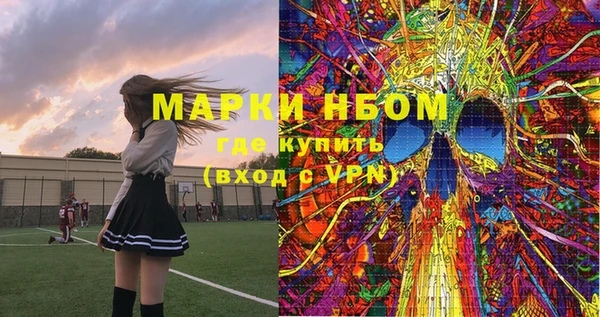 индика Ельня