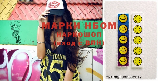 индика Ельня