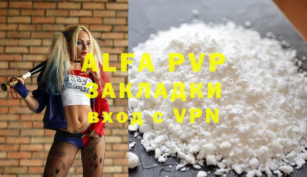 индика Ельня