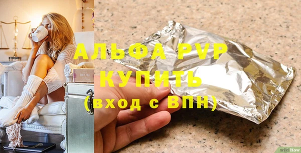 индика Ельня