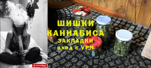 индика Ельня