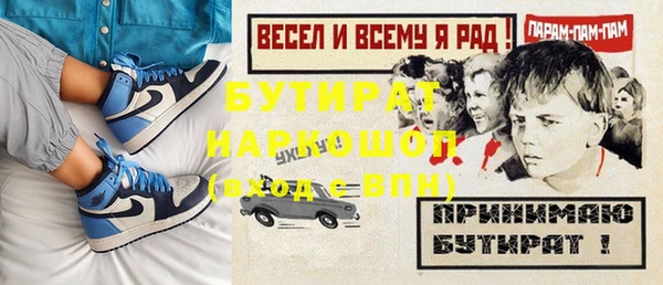 индика Ельня