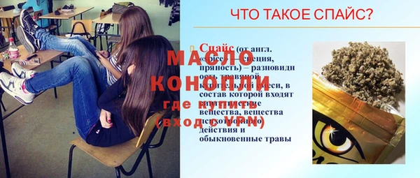 индика Ельня