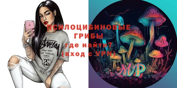 индика Ельня