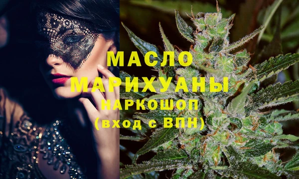 индика Ельня