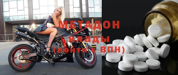 индика Ельня