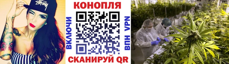 Купить  Уссурийск  Конопля SATIVA & INDICA 